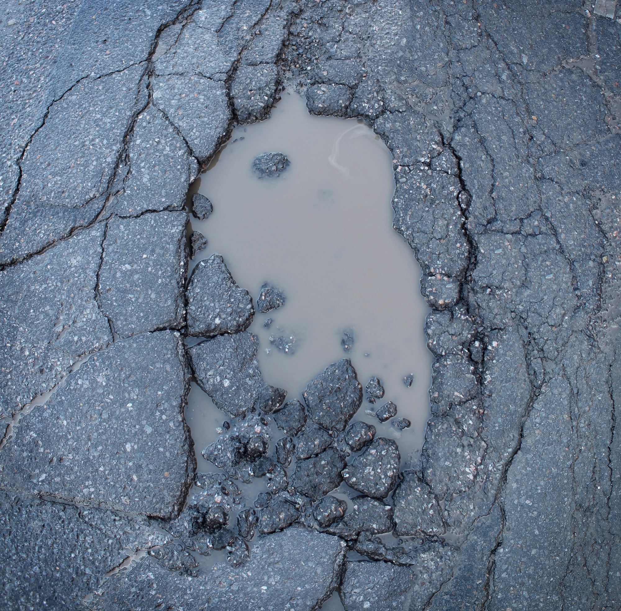 Alligator Cracking in Asphalt: Causes, Risks, and Prevention