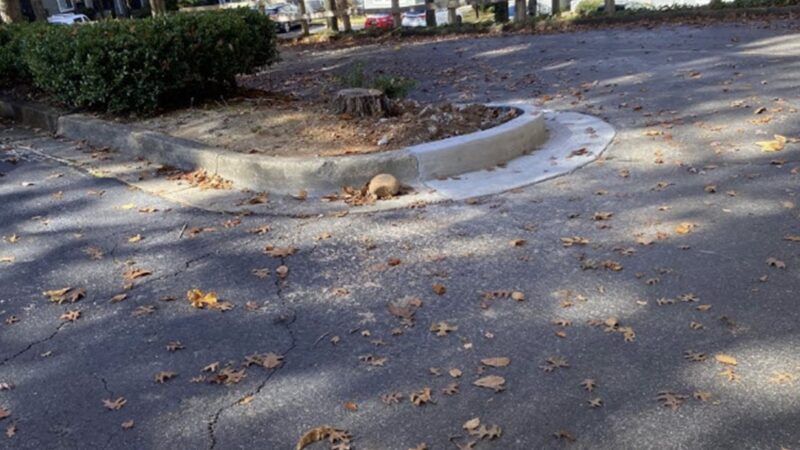 Concrete curbing in a parking lot